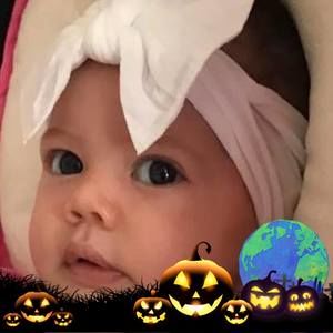 Meet your Posher, Elsa